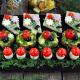 фото вкусных и креативных новогодних рецептов